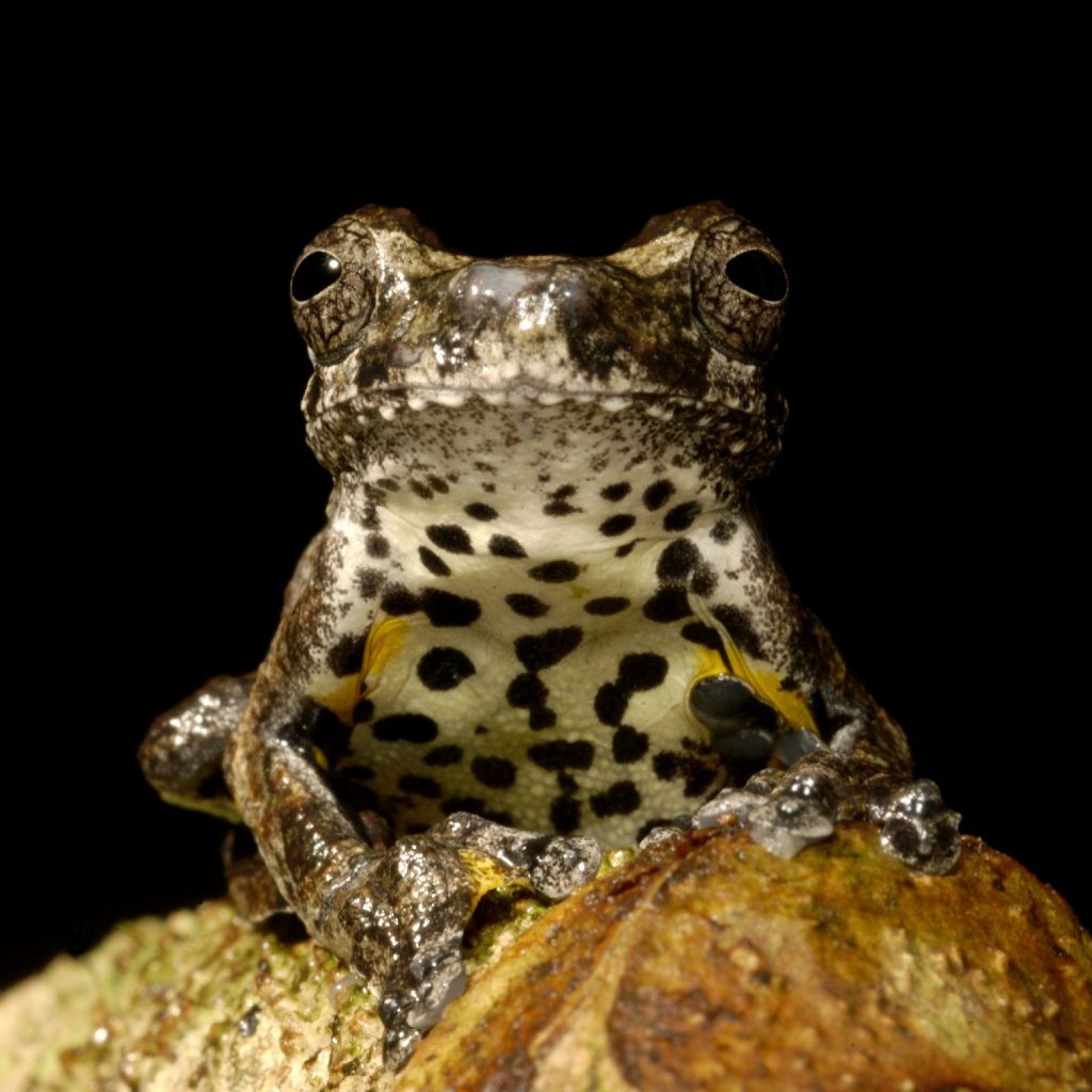 Visítanos Vivarium de Quito